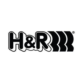 H & R Performance Suspension