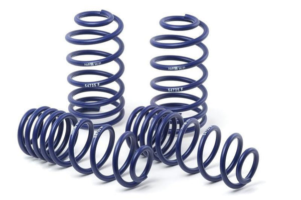 H&R 95-99 Mercedes-Benz S320/S400/S420/S500 W140 Sport Spring (w/Self-Leveling & After 1/1/95) - MGC Suspensions
